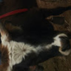 Meet your Posher, Seth